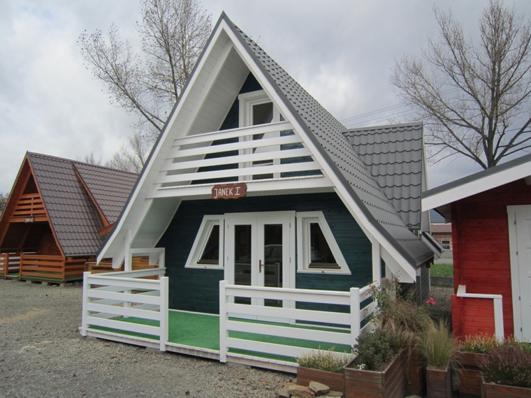 JANEK I